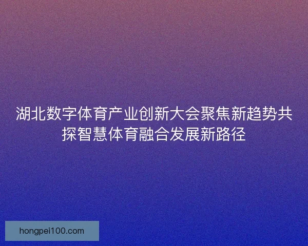湖北数字体育产业创新大会聚焦新趋势共探智慧体育融合发展新路径